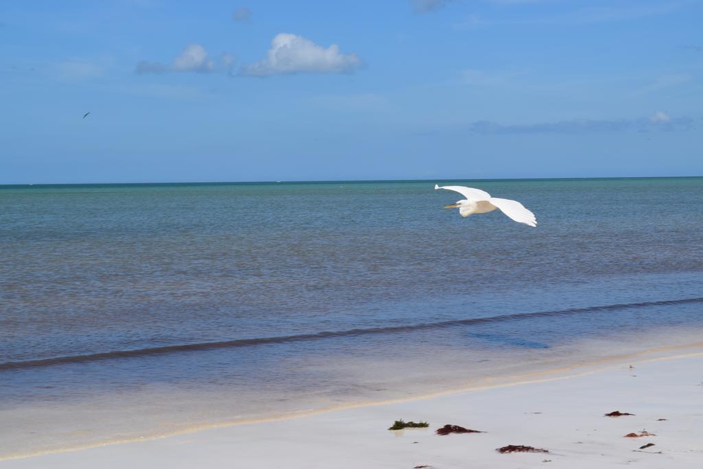 Villas Delfines Isla Holbox ภายนอก รูปภาพ